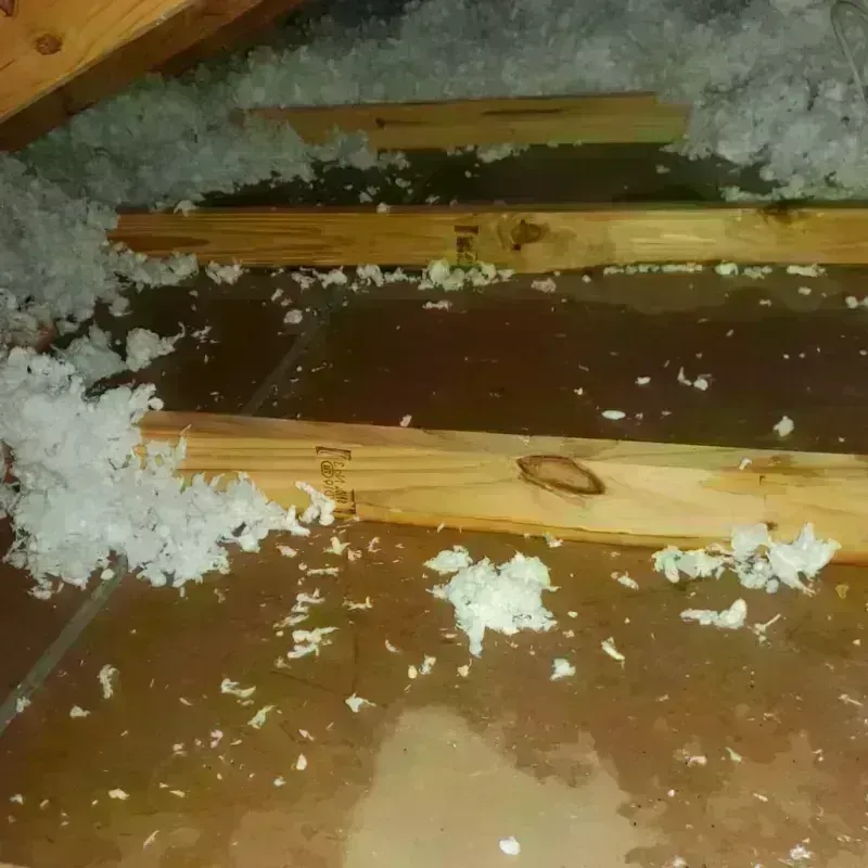 Attic Water Damage in Baldwin, NY